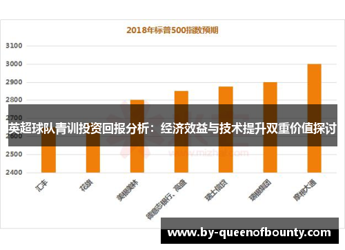 英超球队青训投资回报分析：经济效益与技术提升双重价值探讨