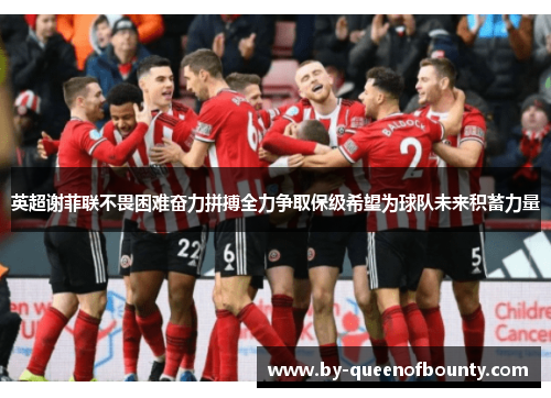 英超谢菲联不畏困难奋力拼搏全力争取保级希望为球队未来积蓄力量