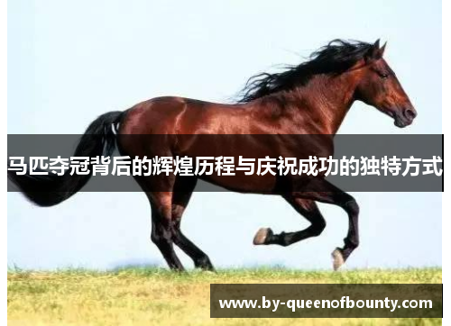 马匹夺冠背后的辉煌历程与庆祝成功的独特方式